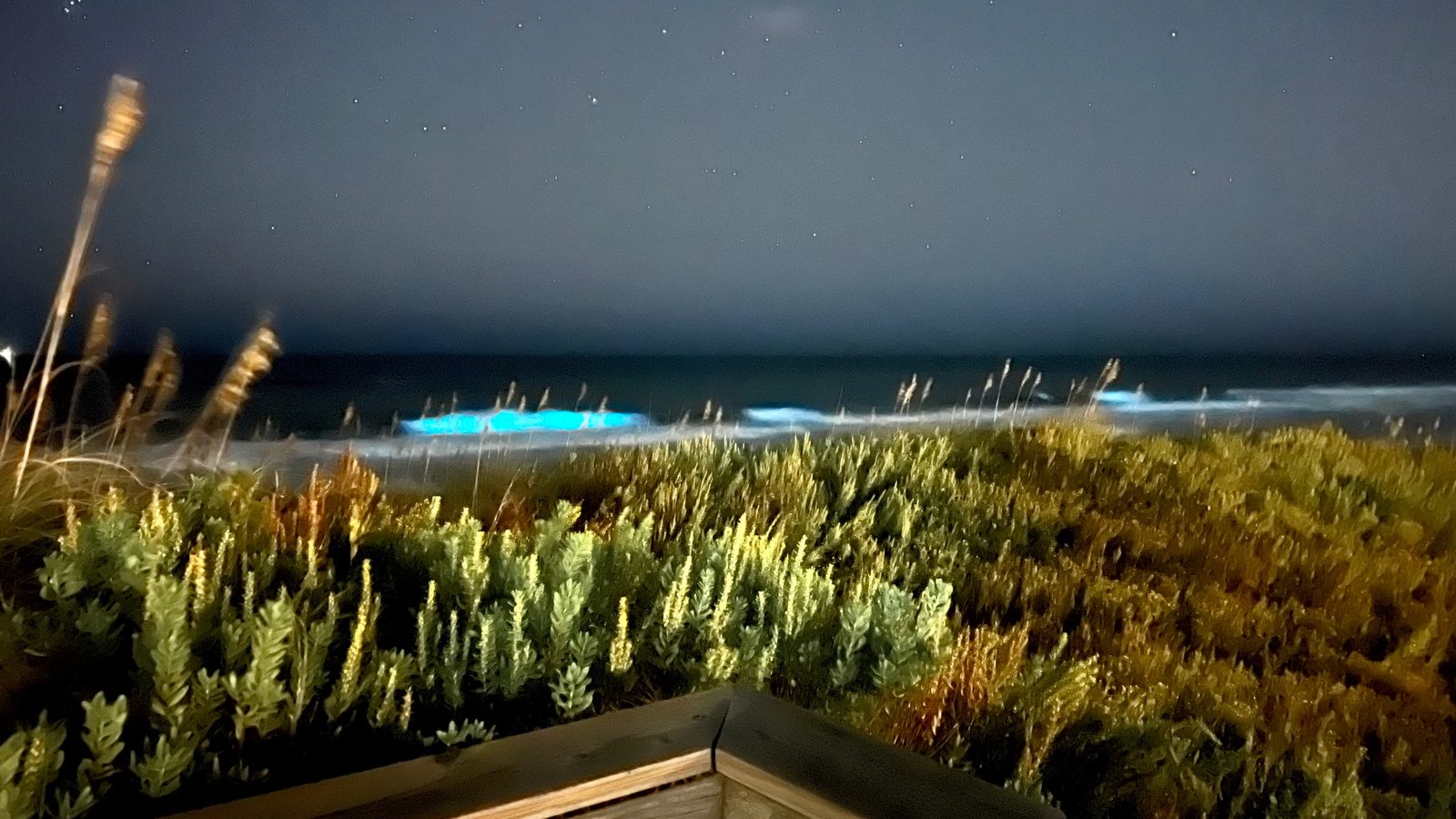 Glowing waves at night